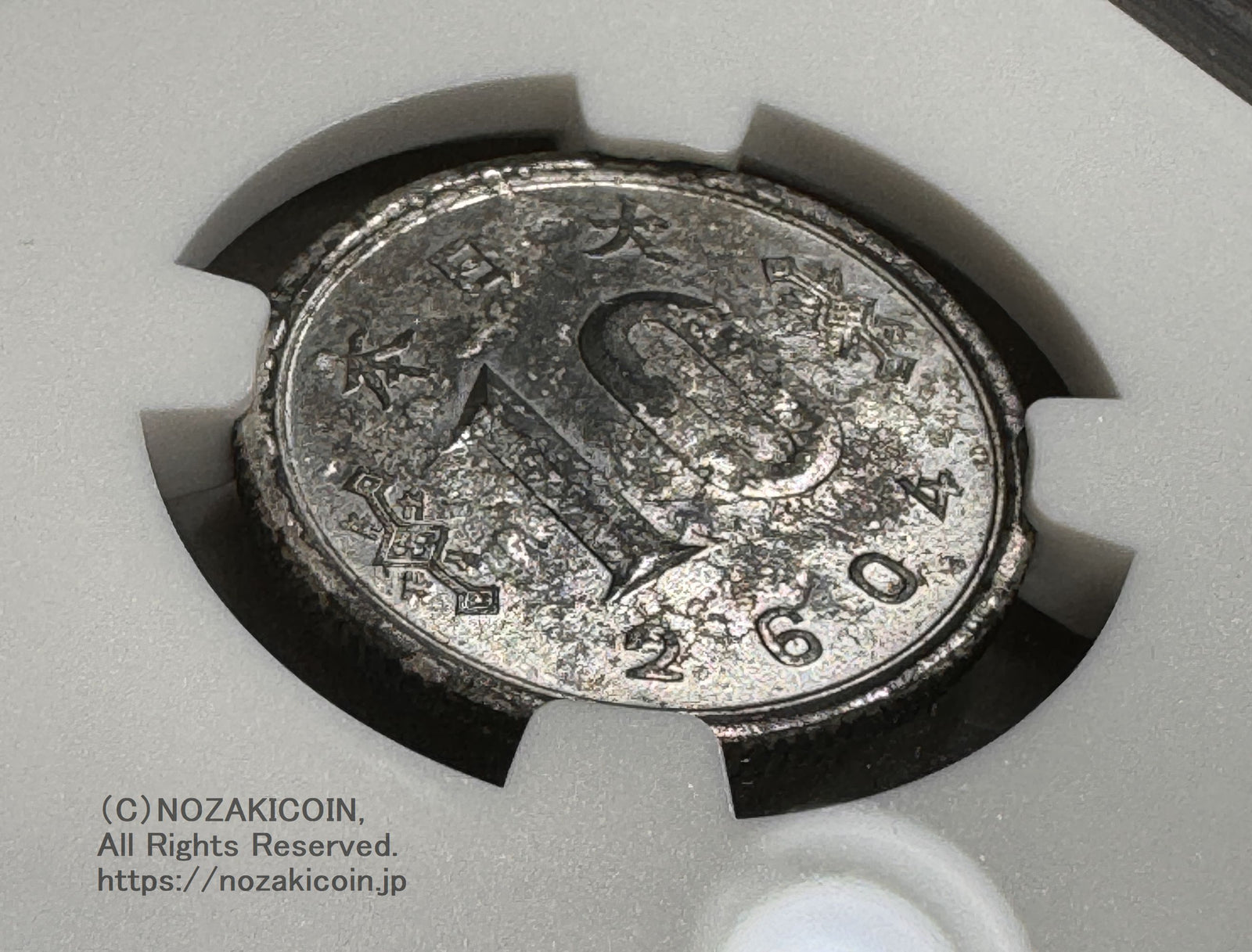 IMG_7697_1600x.jpg?v=1720774609