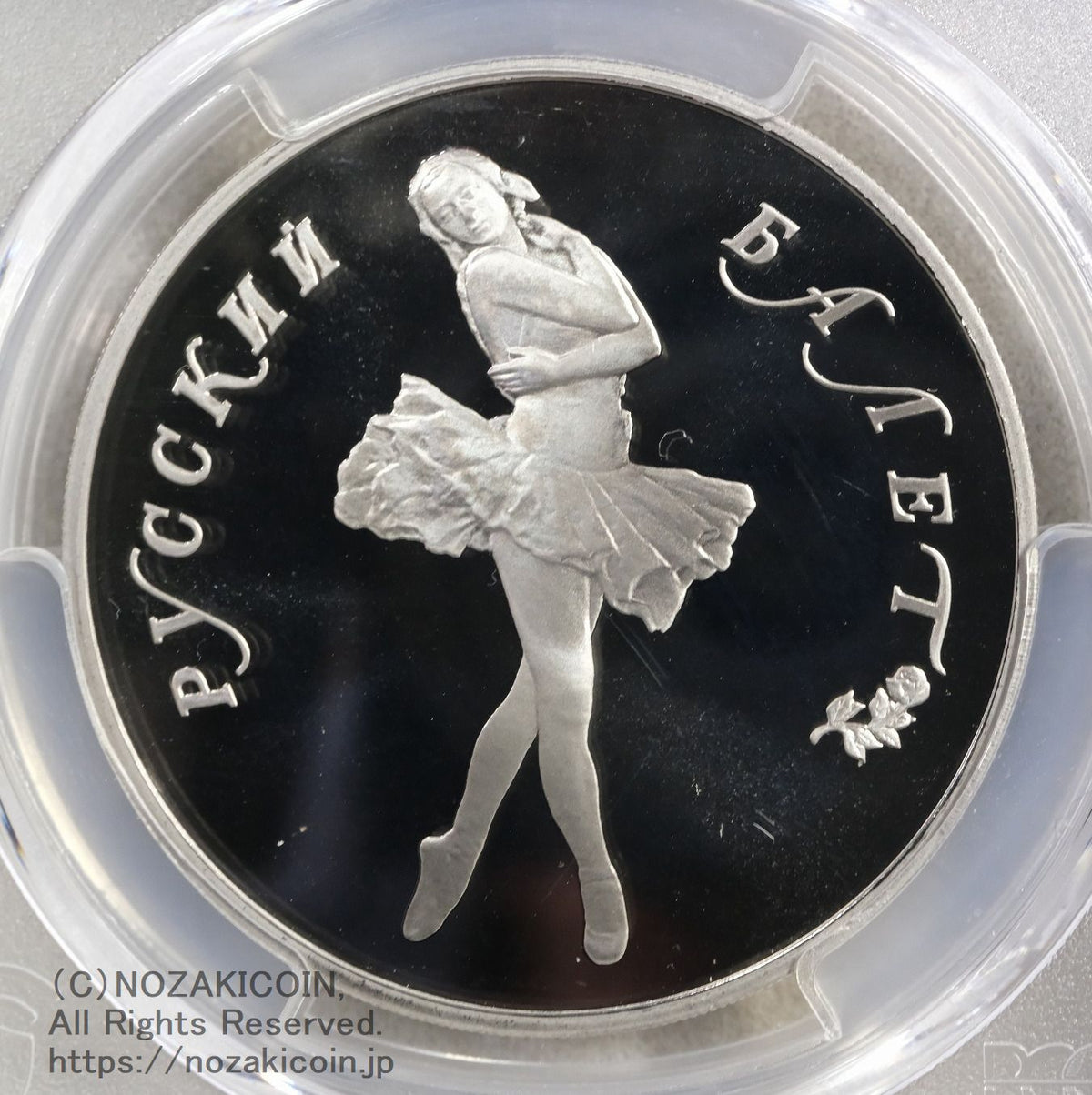 s-DSCF0579_1200x.jpg?v=1745316663