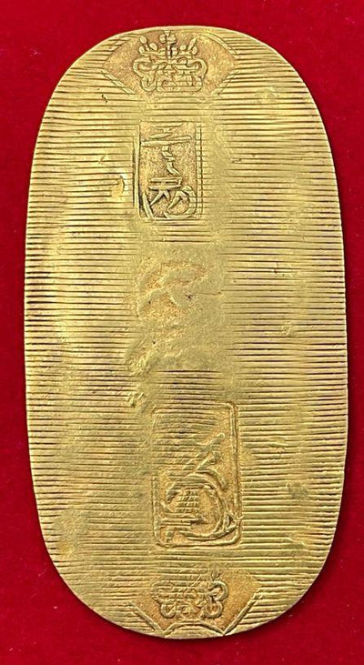 IMG_4490_400x.jpg?v=1689654371