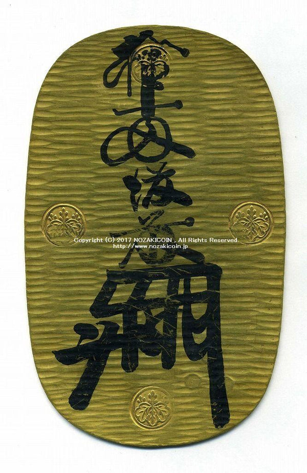 img_20b281zz_600x.jpg?v=1689653134