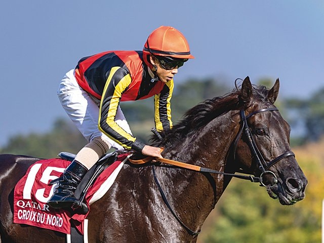 クロワデュノール 新馬戦 馬券 クロワデュノール 新馬戦 馬券 2025年