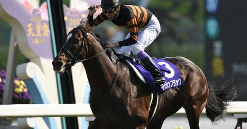 藤原サトノダイヤモンド 新馬戦〜天皇賞・春2歳から4歳国内全10戦