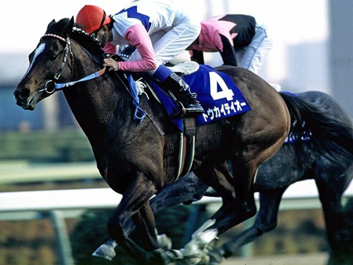 レア 和風競馬色紙トウカイテイオー号 レア 和風競馬色紙