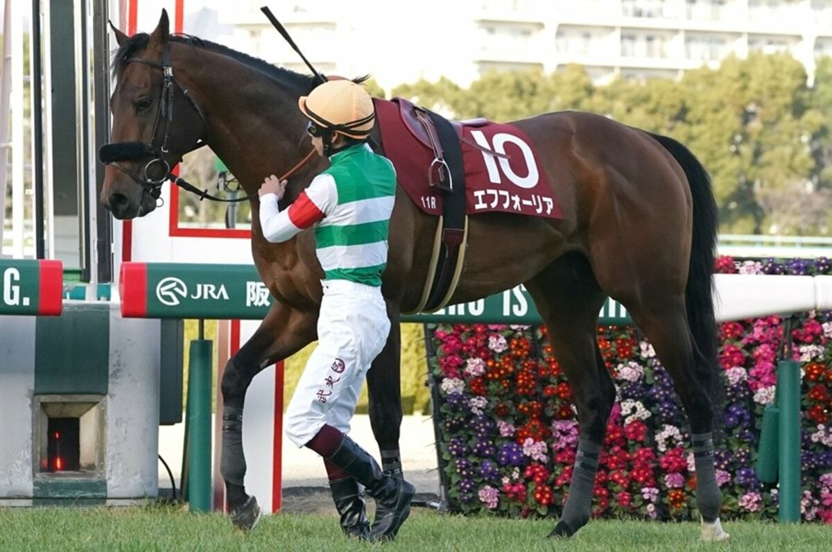 エフフォーリア 横山武 ホースレーシングカード ホログラム 世界限定