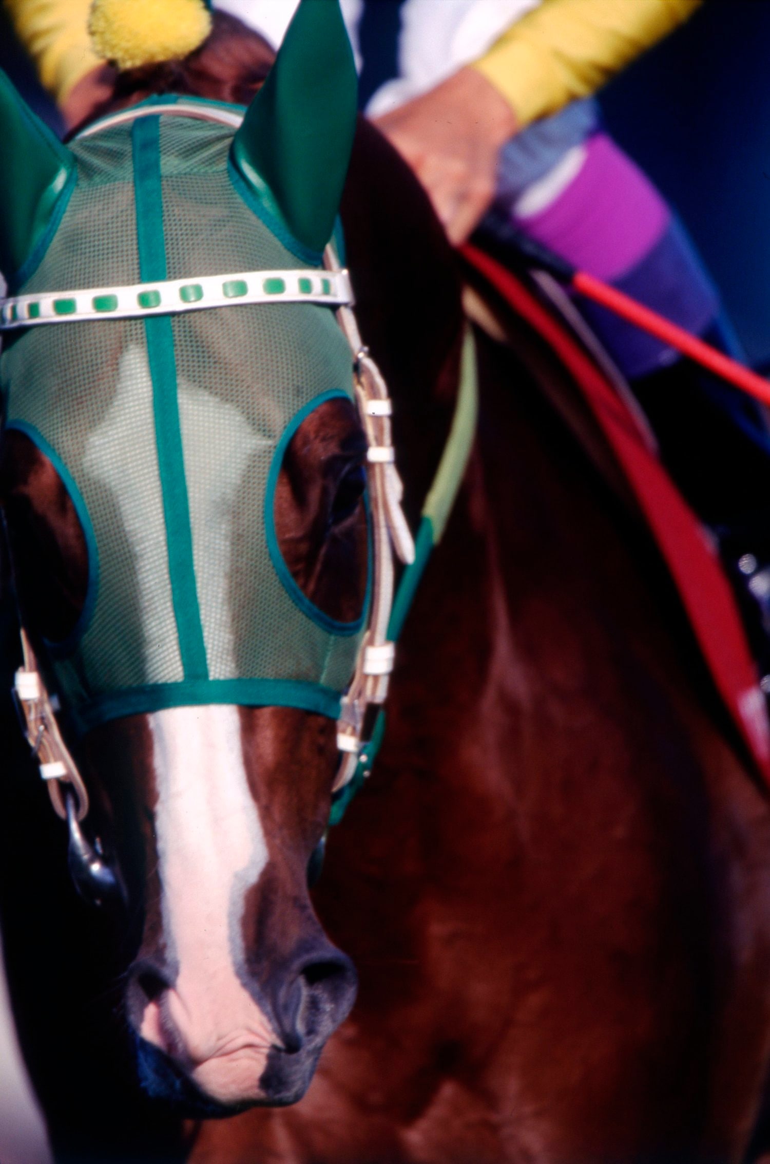 伝説の毎日王冠 3強馬券 サイレンススズカ グラスワンダー エル