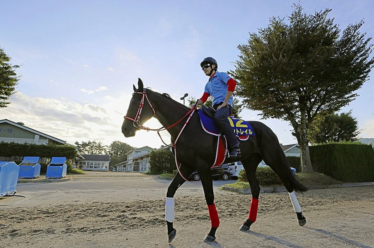 競馬】コントレイル三冠ミニゼッケン／3枚セット／皐月賞・ダービー