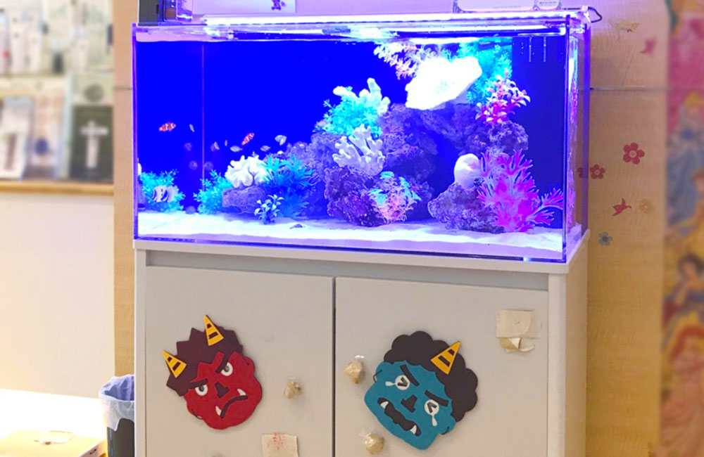 滋賀県大津市 皮フ科クリニック様に設置！90cm海水魚水槽レンタル事例