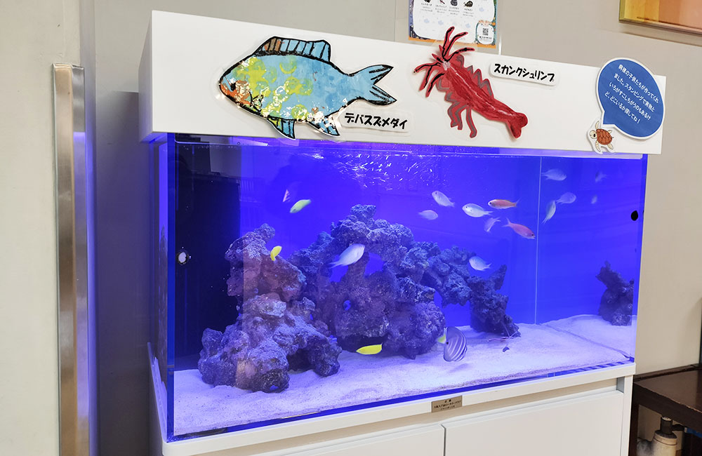 海水魚 飼育セット一式 引取り限定 東京荒川区 海水魚 飼育セット一式