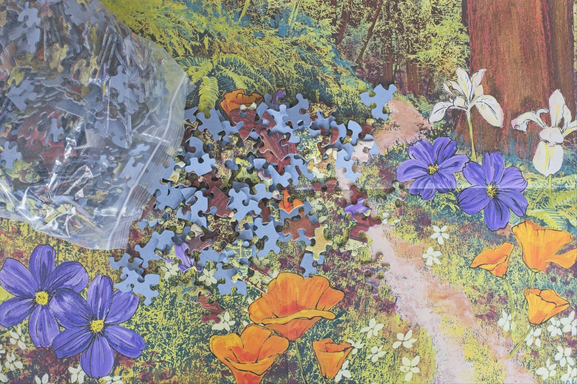 Golden Beams Puzzle – Redwoods Art by Hilary Williams – Oakland