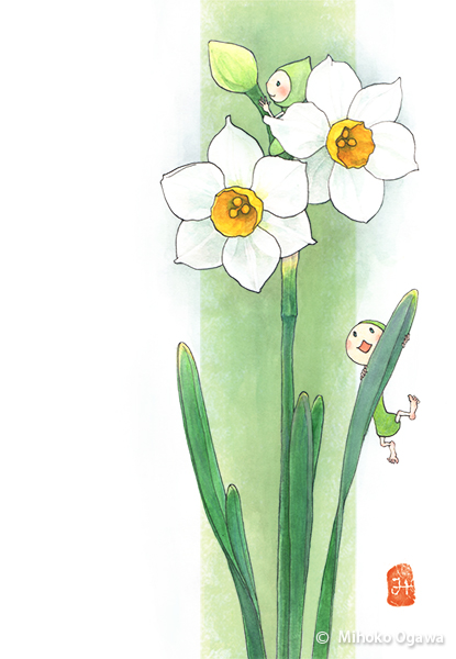 日本画 水仙 日本水仙 – 小川みほこ- illustrations