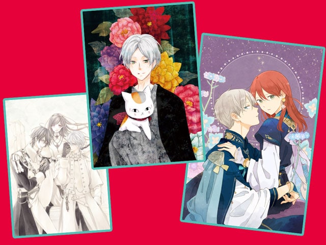 ヴァンパイア騎士 キャンバスアート その4 完結 LaLaDX 白泉社