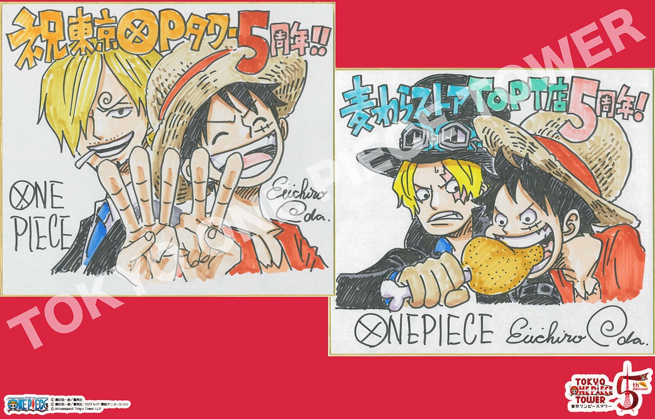 ONE PIECE ワンピース 尾田栄一郎 描き下ろし 書き下ろし ミニミニ色紙