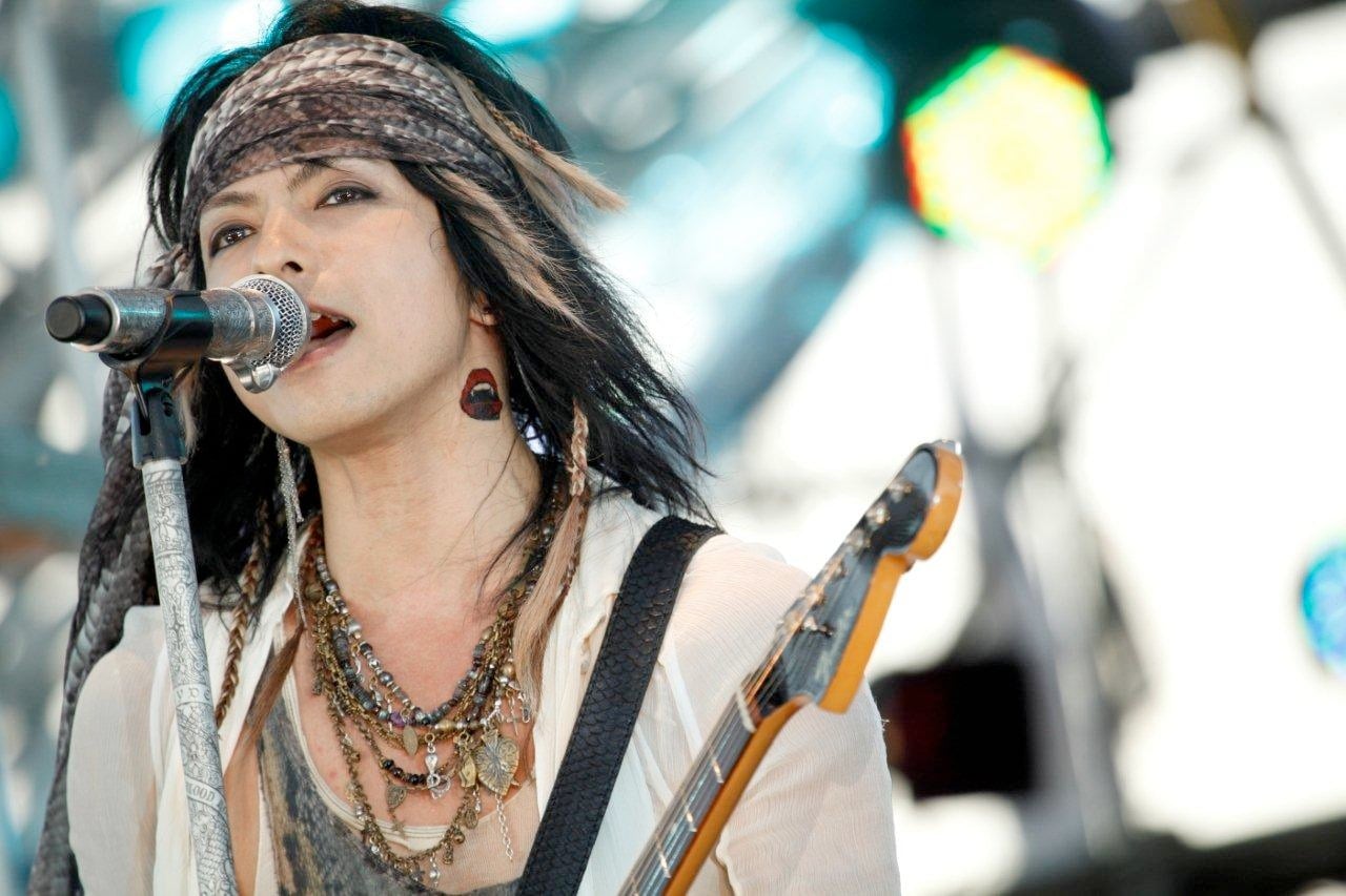 HYDE VAMPS ピック 本人使用 非売品 ラルク③ HYDE VAMPS ピック 本人