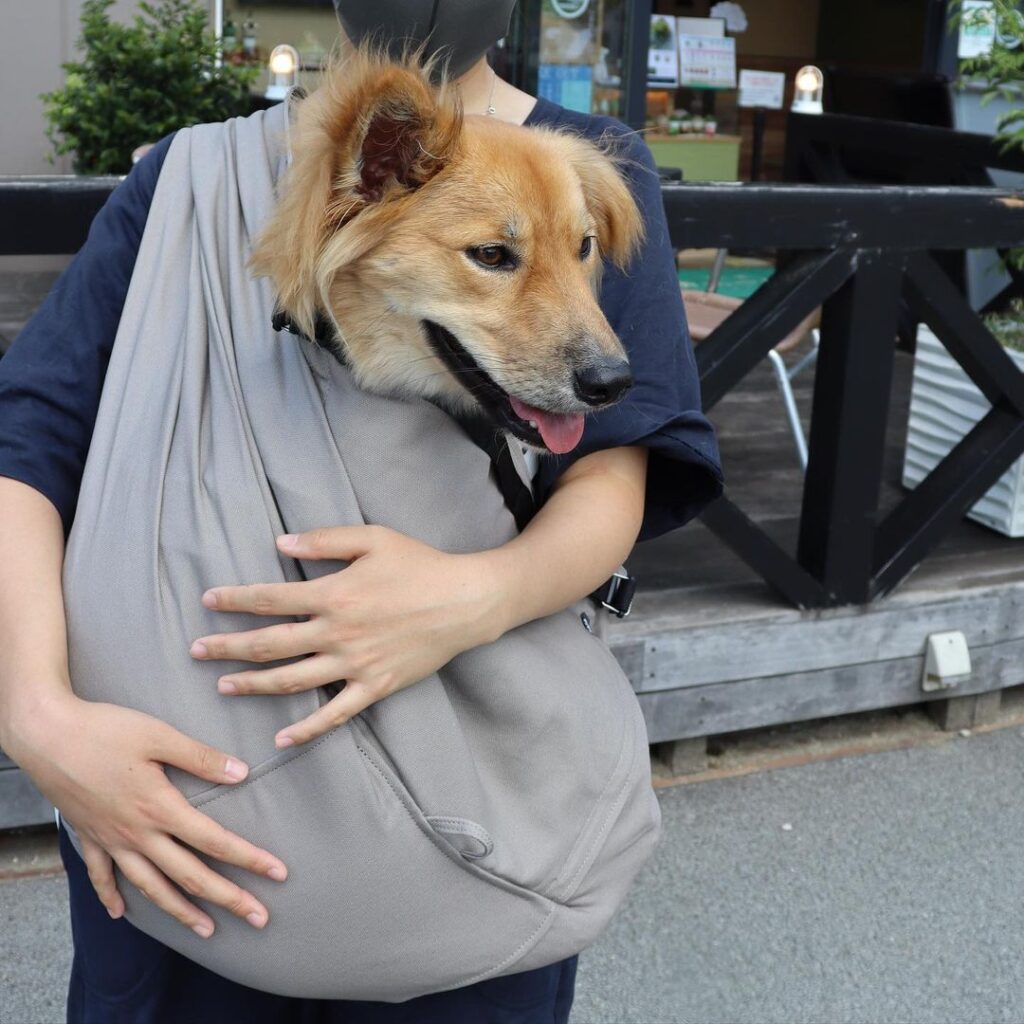 多機能ドッグスリングerva エルバ15kg〜20kg 中型犬ドッグスリング