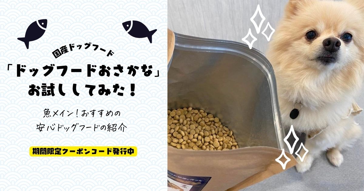 ドッグフードおさかな」をお試ししてみた！こだわりの特徴3つとは