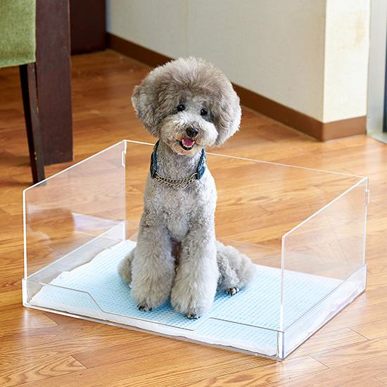 ペットアクリルトイレ ICHIGOtype ワイドサイズ ※グレースモーク色