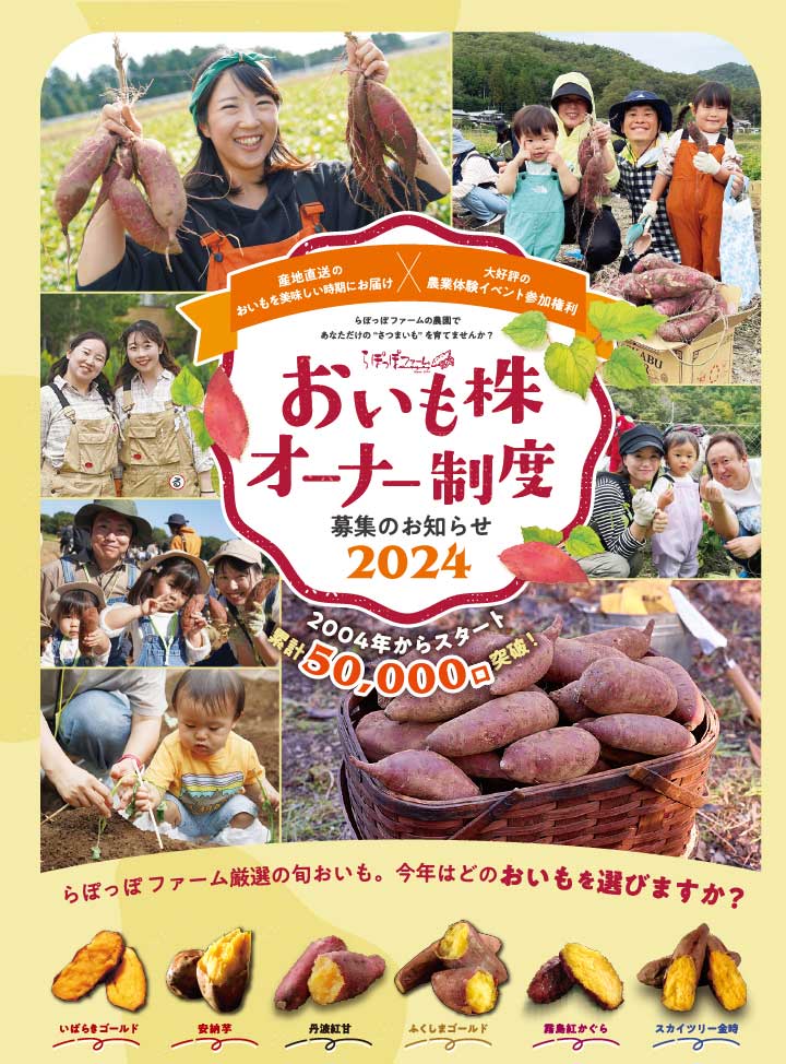 2024年度おいも株オーナー制度募集のお知らせ | 白ハト食品工業株式会社