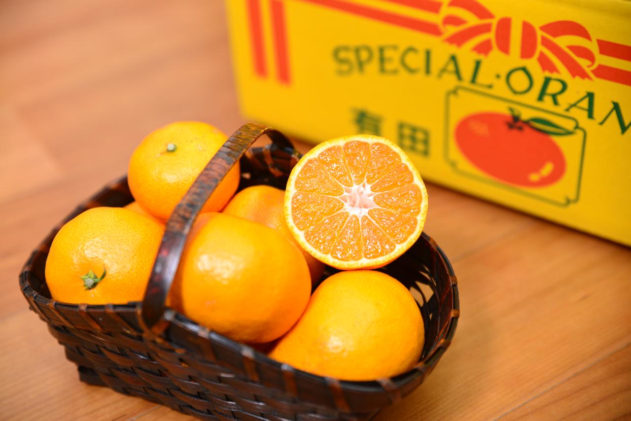 ☆骨の健康維持に☆酸味がおいしい！有田みかん☆ 【機能性表示食品