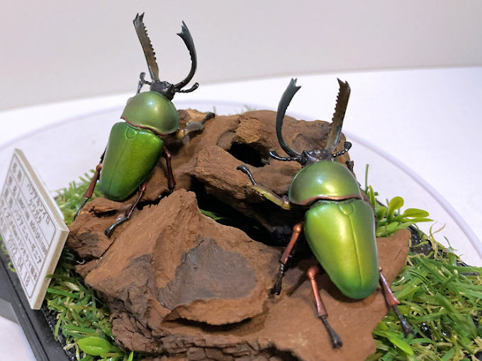 タランドゥスオオツヤクワガタ♂79mmレプリカジオラマ標本