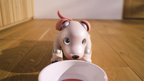 輝夜出品】SONY aibo いちごミルクエディション 輝夜出品】SONY aibo