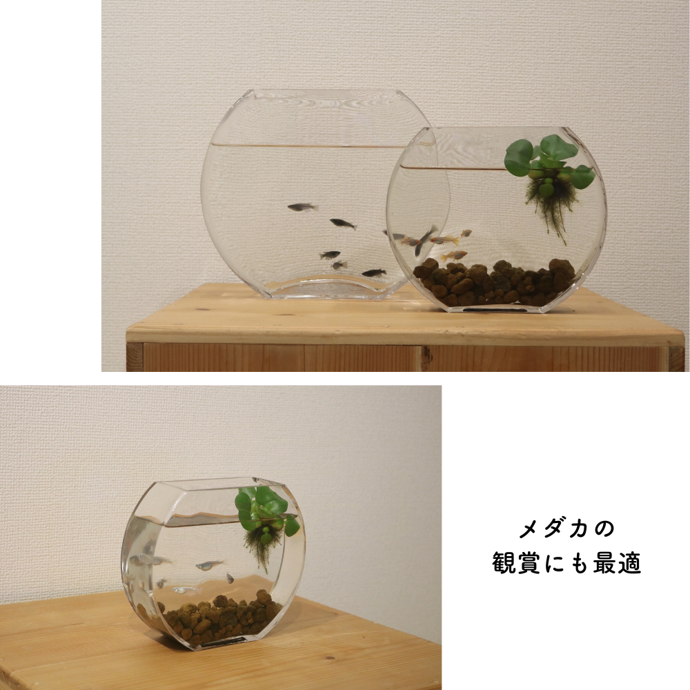 備前焼 メダカ鉢 大型花器 花生 水瓶 水甕 水槽 花瓶 花入 フラワー