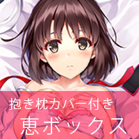 冴えない彼女の育てかた 抱き枕カバー付き恵ボックス