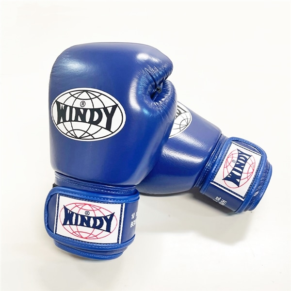 WINDY ヘッドギア HP-3 Lサイズ 青 WINDY ヘッドギア サイズM WINDY