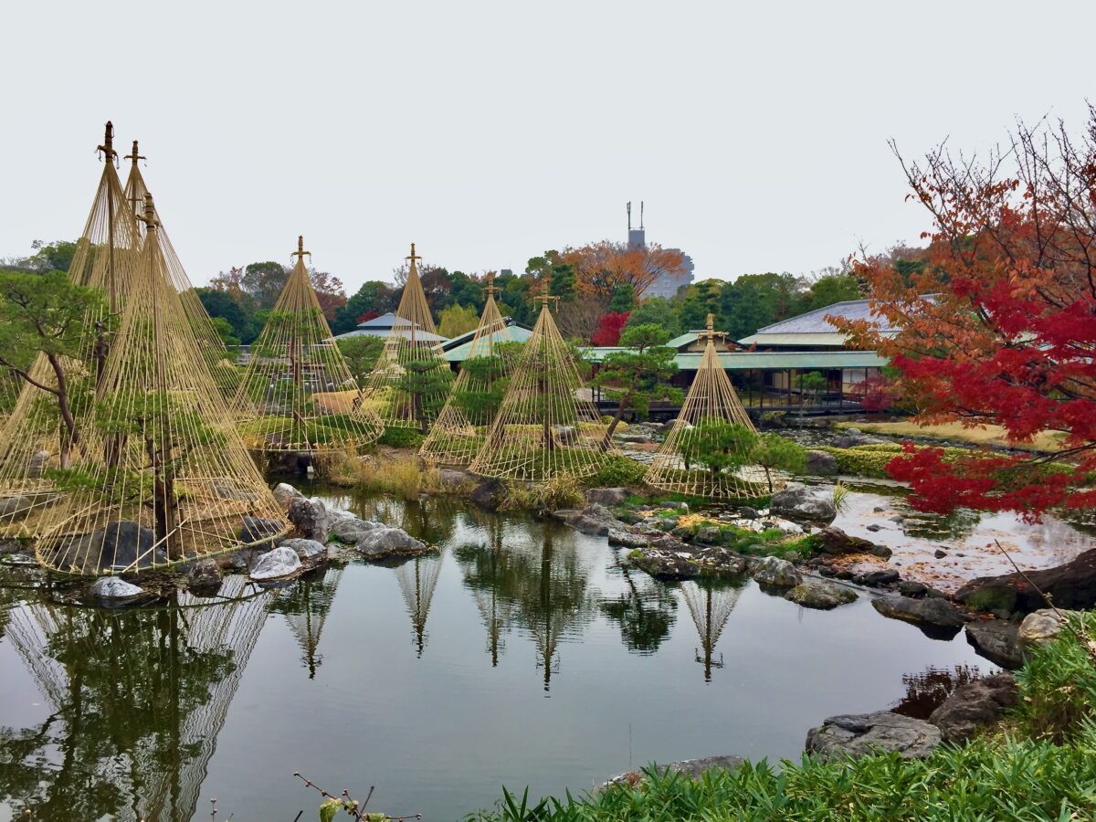 数寄の庭 日本庭園協会 大型本 数寄の庭 日本庭園協会