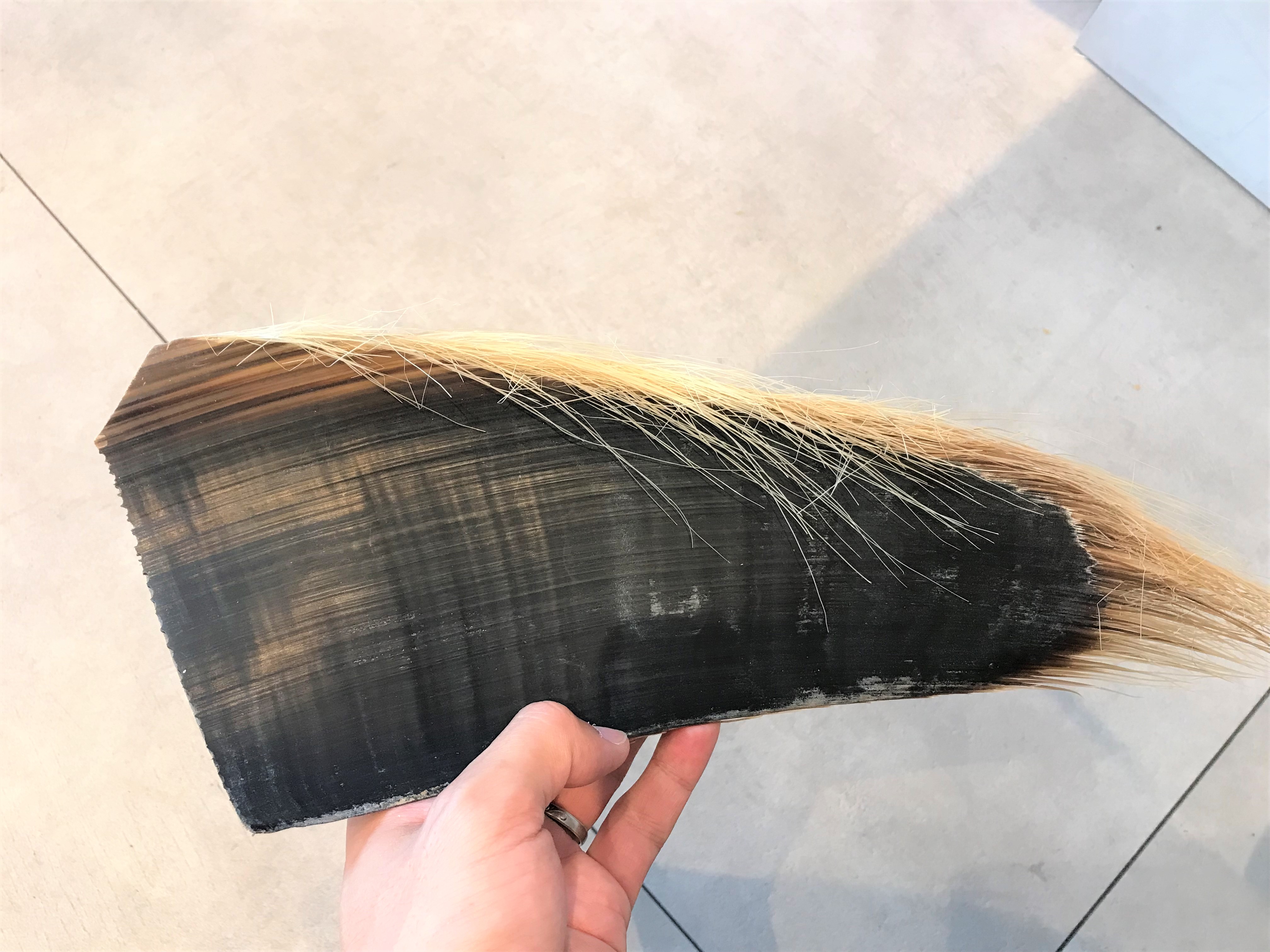 クジラのヒゲと歯