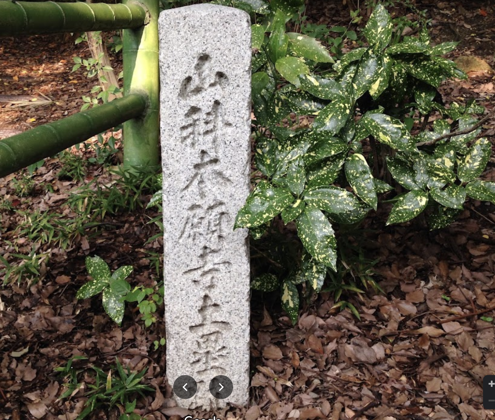 63歳 蓮如上人が山科本願寺建立を決意 | 浄土真宗親鸞会 大阪会館