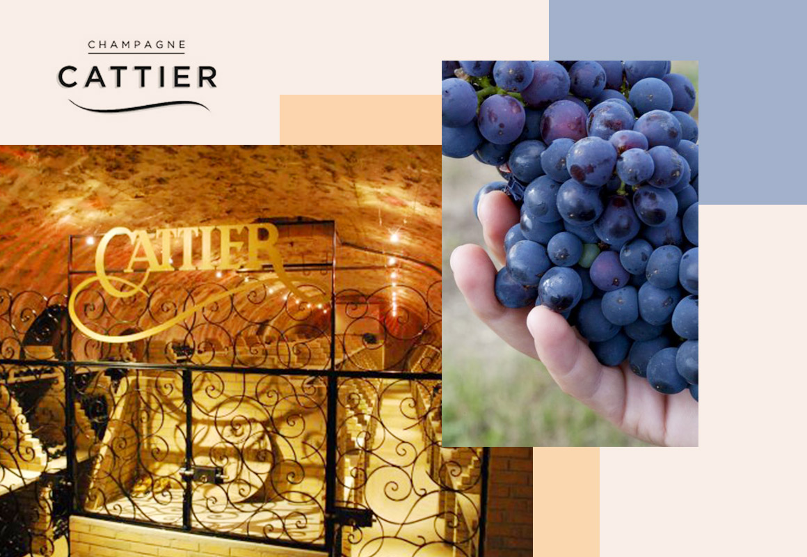 正規品＞SOUMEI ソウメイ ル・セクストゥール アタッシュケース入り 6