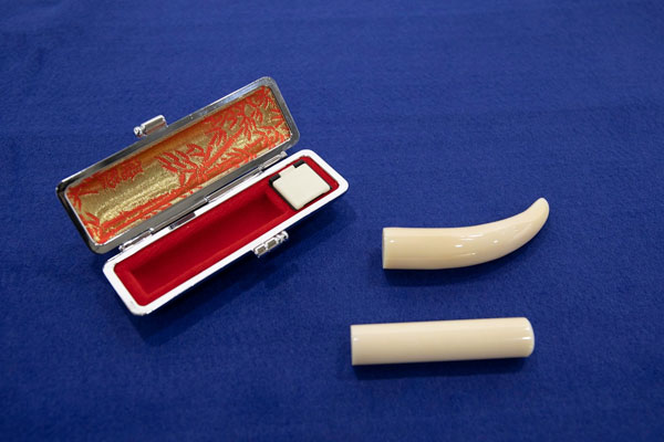 鯨歯3本セット 鯨歯3本セット 鯨歯3本セット 鯨歯3本セット 2025年最新