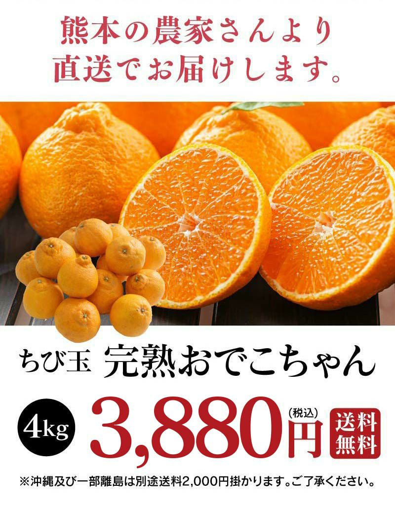 ちび玉 不知火完熟おでこちゃん 4kg 送料無料 大小混合 S-Mサイズ 小玉