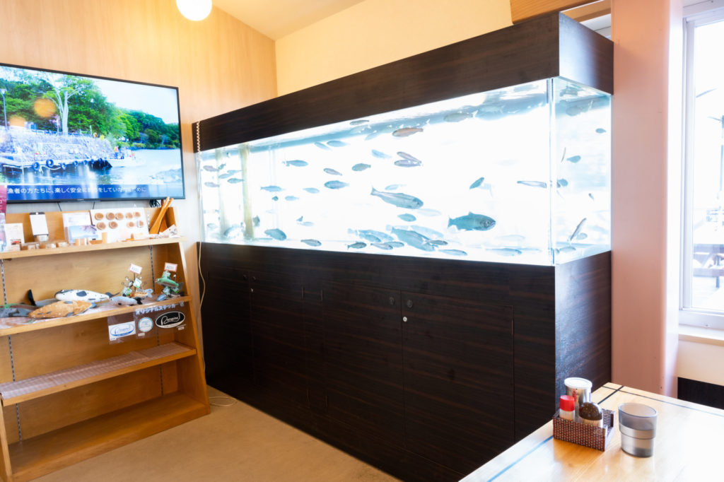 特殊水槽 | オーダーメイド・アクアリウム＠東京アクアガーデン