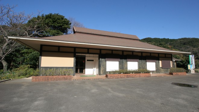 関東平野の隠れキリシタン 関東平野の隠れキリシタン | 川島 恂二 |本