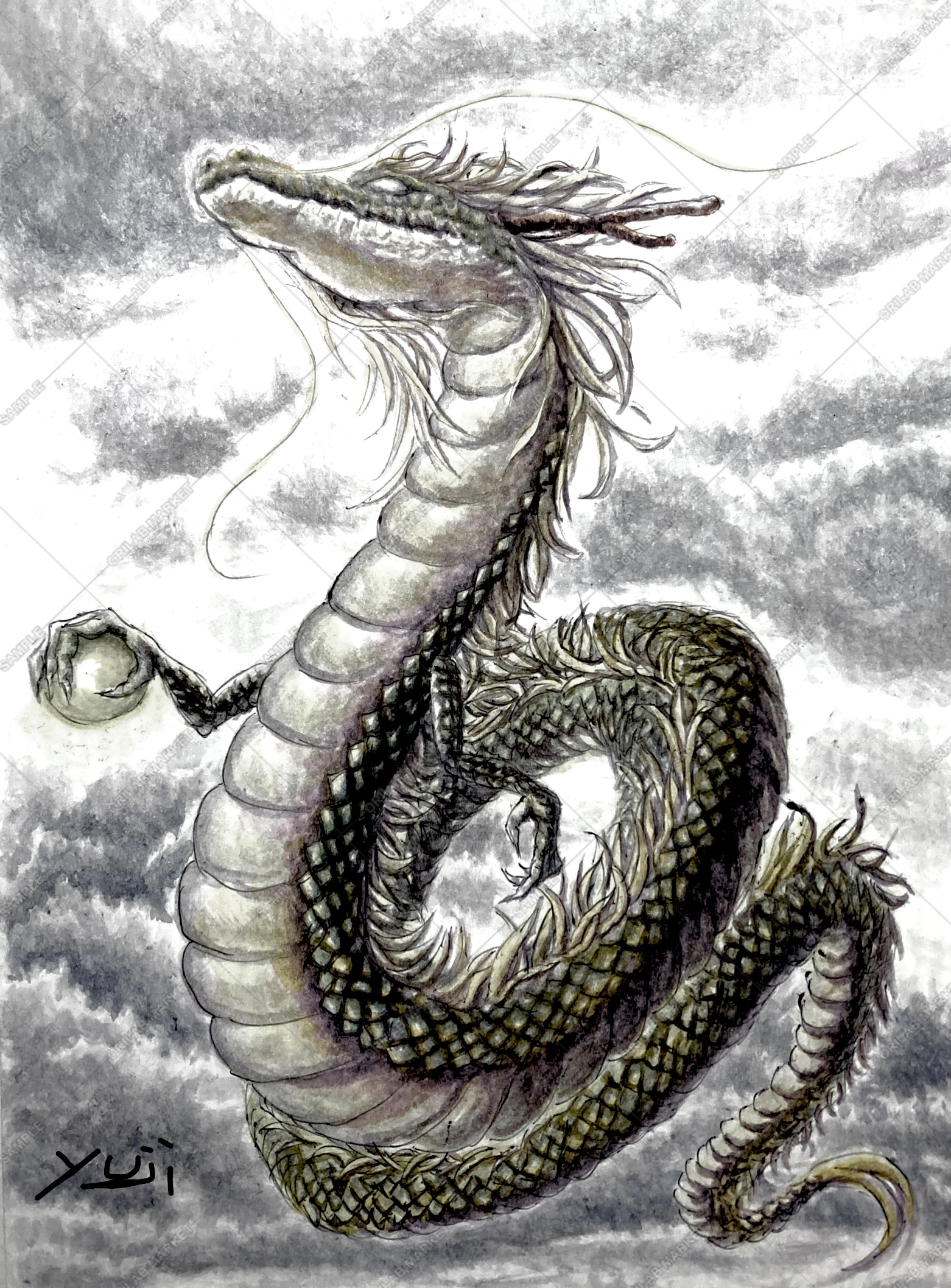 龍イラスト 龍イラスト 龍イラスト Amazon.co.jp: Z X ゼクス 異龍