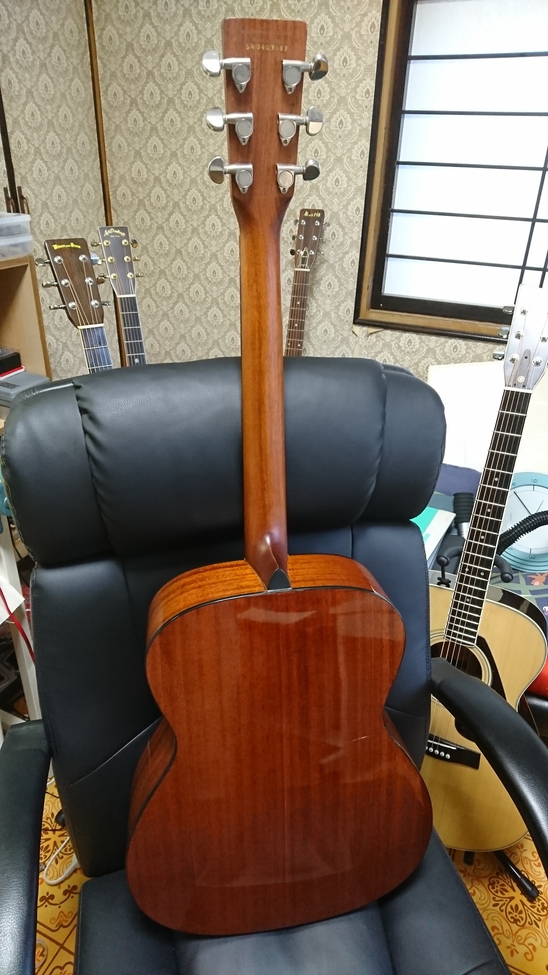 Aria Dreadnought アコースティックギター セットAF-25N Aria