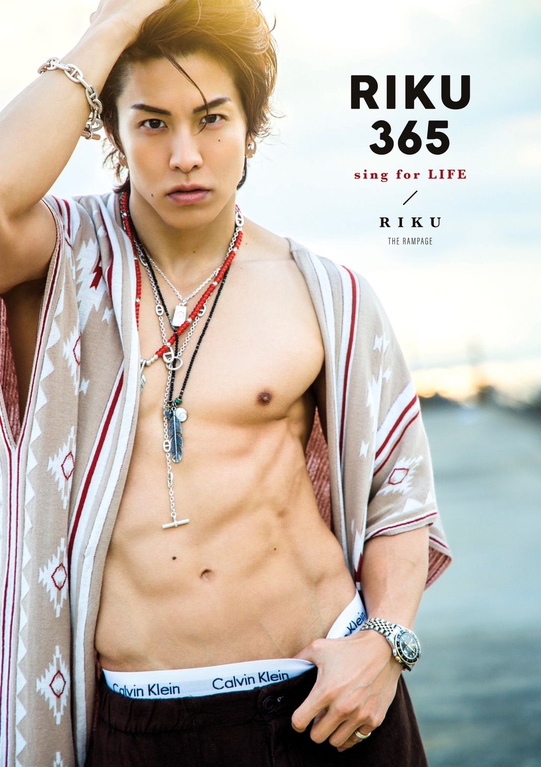 青山陸 RIKU クッション RAMPAGE RIKUクッションシークレット THE