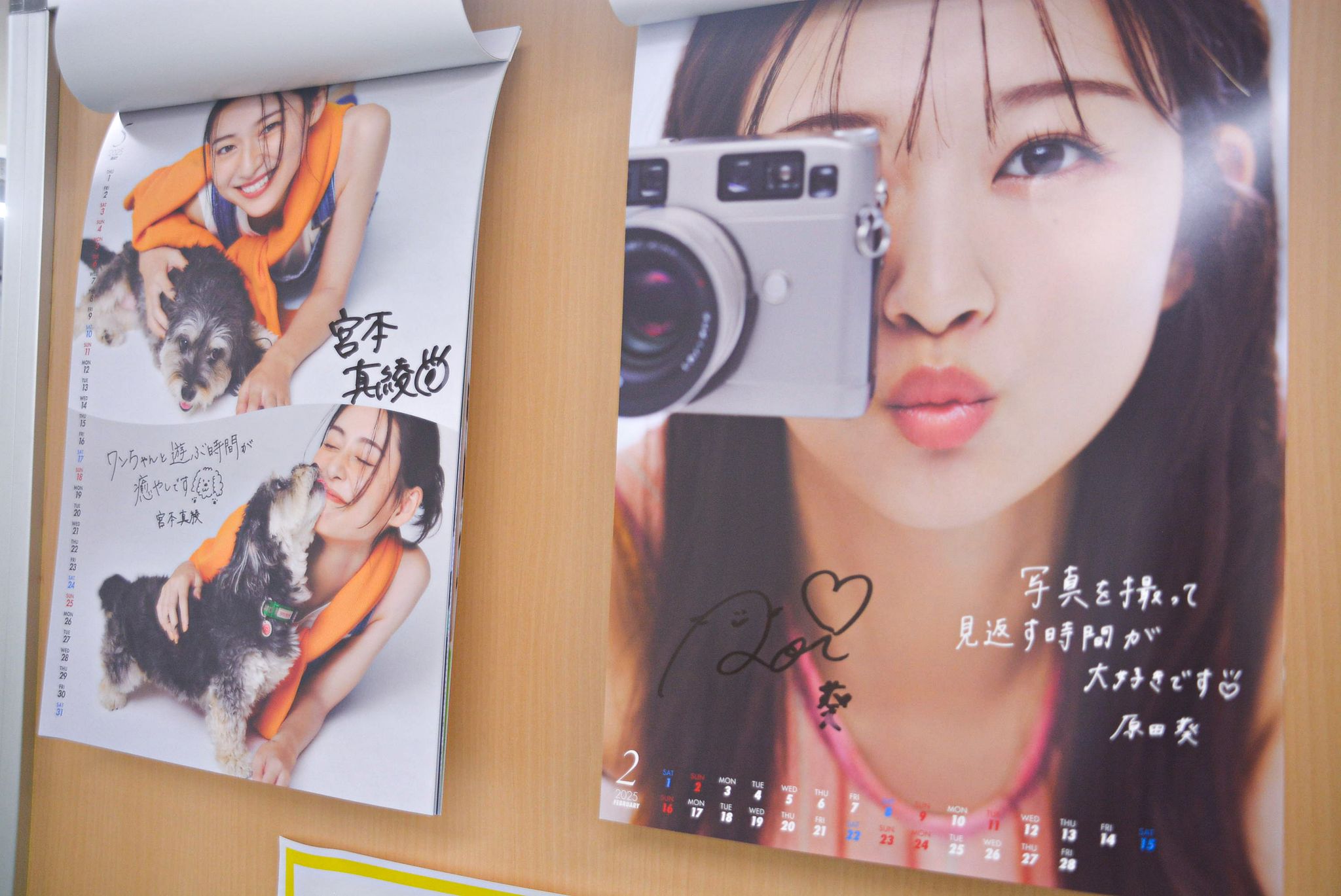 原田葵 直筆サイン入りチェキ 櫻坂46 欅坂46 /櫻坂46/フジ