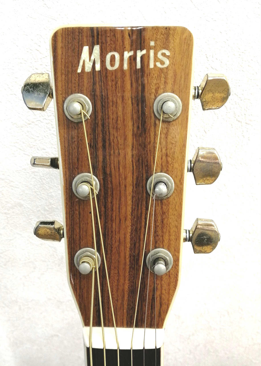 Morris M-501 アコースティックギター アコギ ギター 【公式通販】
