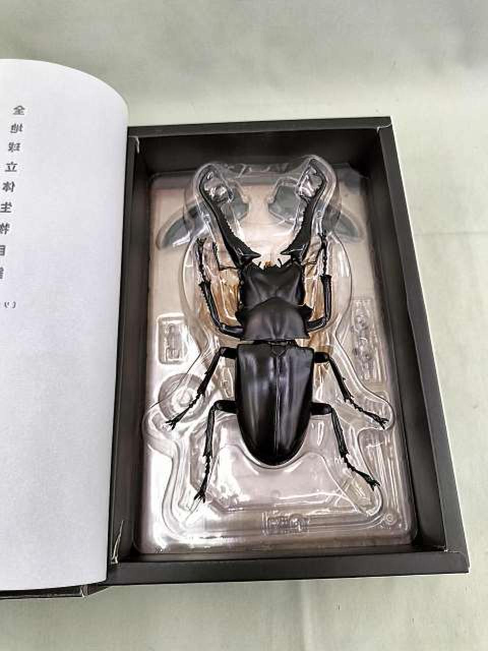 海洋堂|ギラファノコギリクワガタ|【ハードオフ公式通販】オフモール