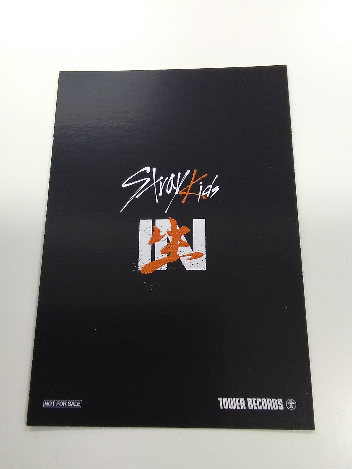 アイエン 直筆サイン入り チェキ ポラ Stray Kids スキズ スキズ