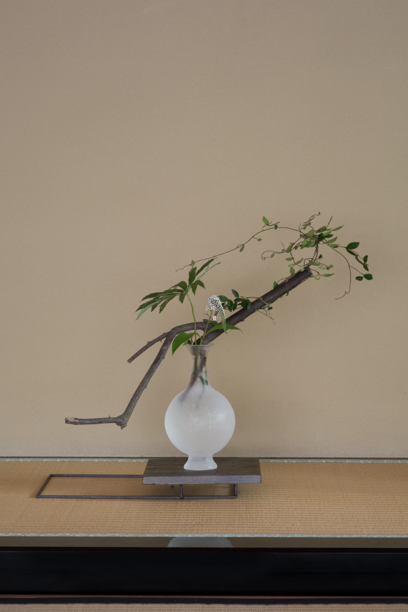 Feature | 瀬沼健太郎 | panorama