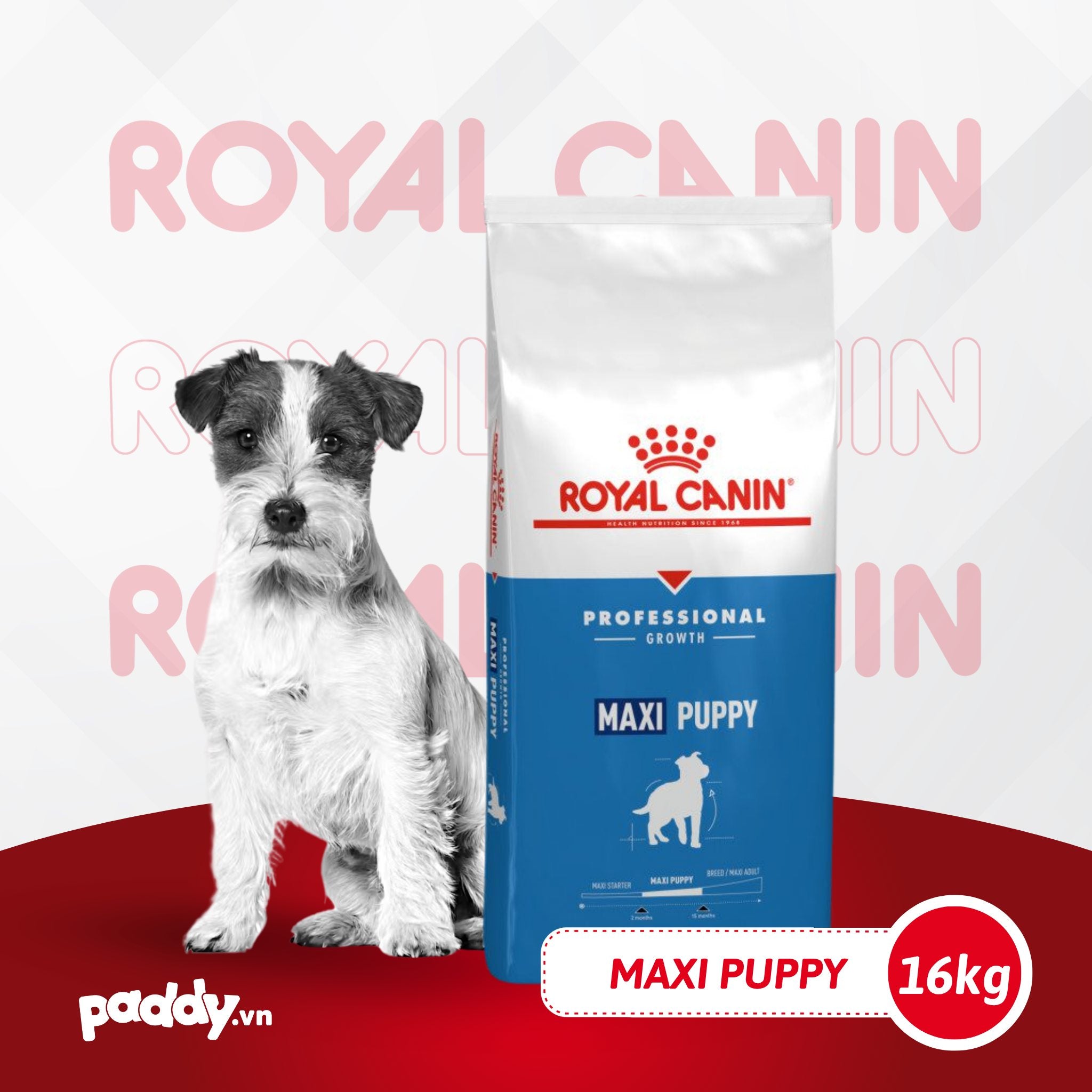 ロイヤルカナン ROYAL CANIN マキシパピー ドライフード 16kg ロイヤル