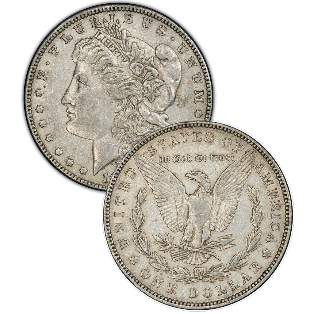 1879-S (Reverse of '79) Morgan Silver Dollar | Palm Island