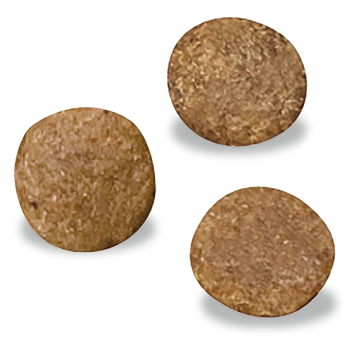 ベッツウェル 犬用食事療法食食物アレルギーケア フィッシュ＆ポテト