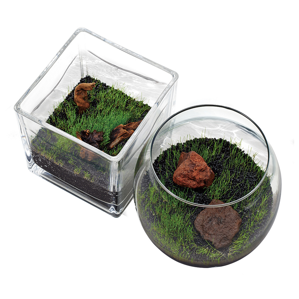 育てる水草の種ストレートヘアーソイルセット│マルカンの製品一覧