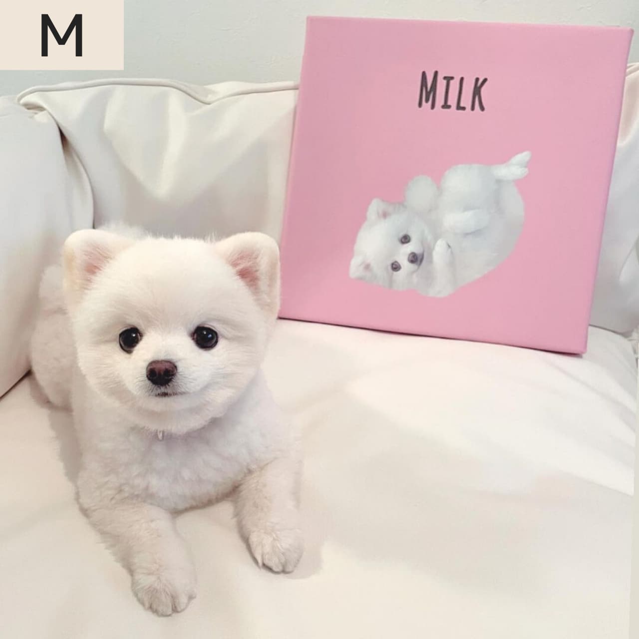 PaintPet - うちの子キャンバス