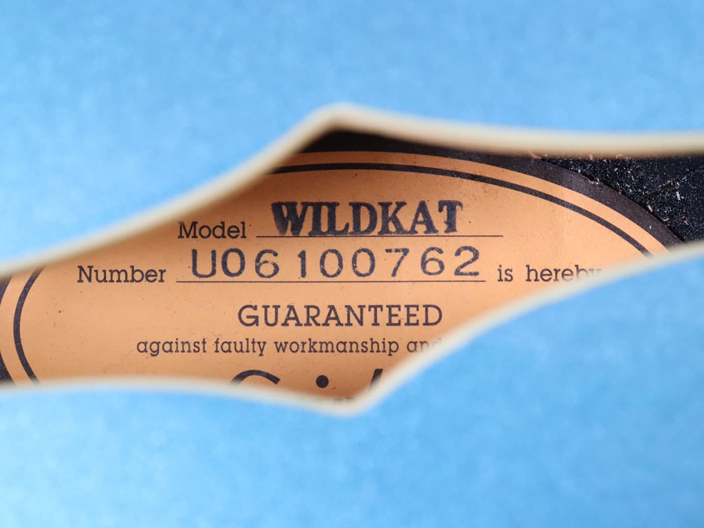 中古】Epiphone WildKat セミアコ メタリックブルー - 神奈川県の中古