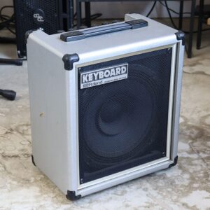 Roland ミキシングアンプ VX-55 ビンテージ リバーブ エコー